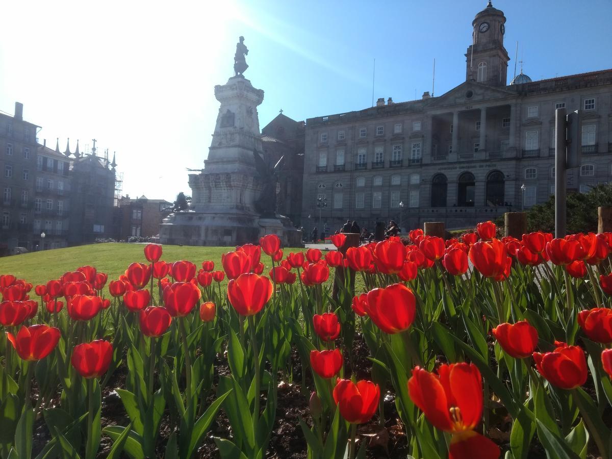 Merc Porto Ribeira'S Place Zewnętrze zdjęcie